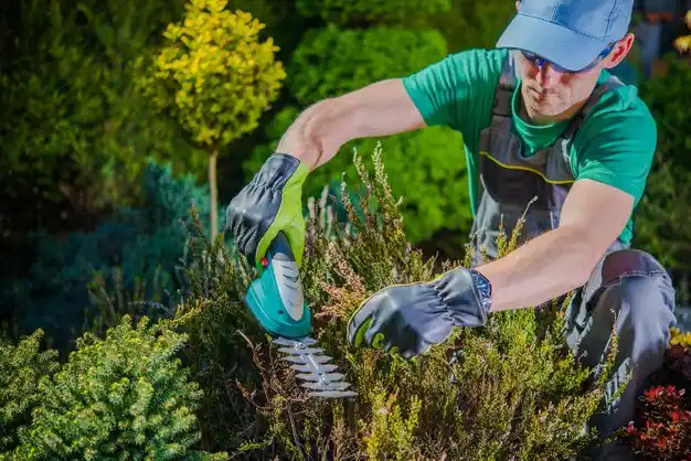 landscaping services Hart